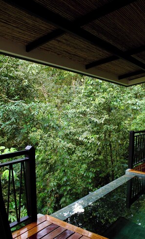 Una terraza de madera con barandilla de vidrio que da a un jardín exuberante.