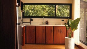 A kitchen with wooden cabinets, a window with a view of greenery, and a potted plant. - Villa Tucán - Nuakú Jungle (San Carlos)