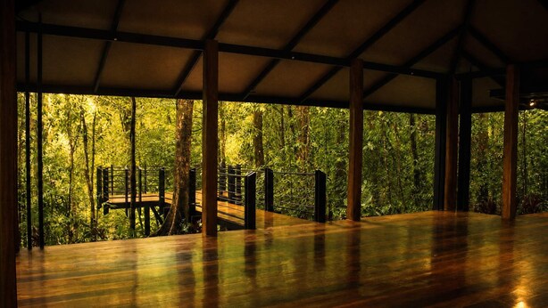 Une terrasse en bois couverte, offrant une vue sur une forêt dense.
