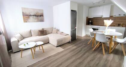 Schöne große Ferienwohnung mit Super Dachterrasse