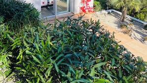 A modern building with a glass door, surrounded by lush greenery and trees. - Contemporary hillside villa with sea view (3 kms) (Xàbia)