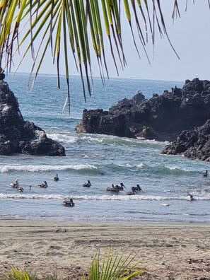 A beach with rocky formations and a clear view of the ocean. - Amazing Beach House with cool AC (Playa Chuquiapan)