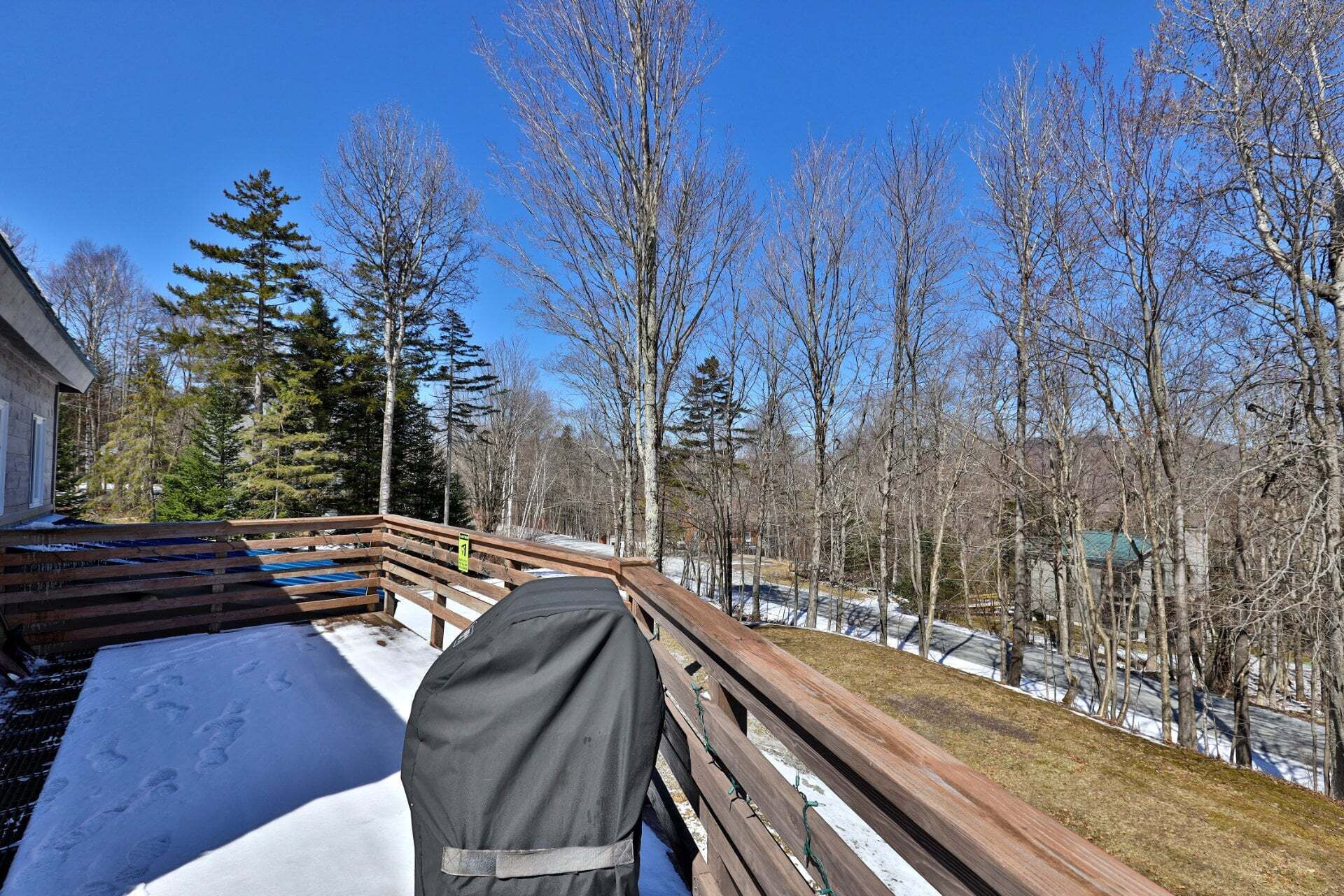 A wooden deck with a metal railing, snow on the ground, and leafless trees in the background.