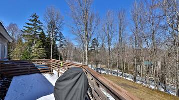 A wooden deck with a metal railing, snow on the ground, and leafless trees in the background.