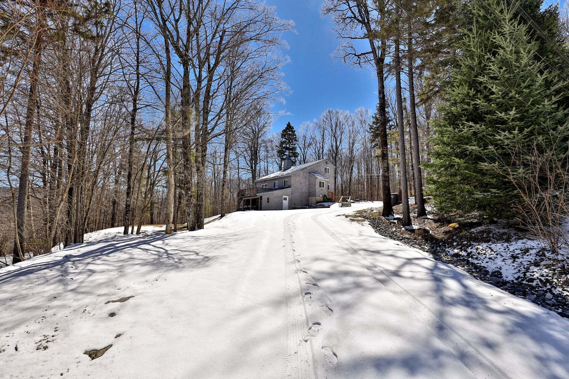 A snow-covered road leading to a house surrounded by trees.