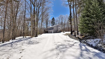 A snow-covered road leading to a house surrounded by trees.