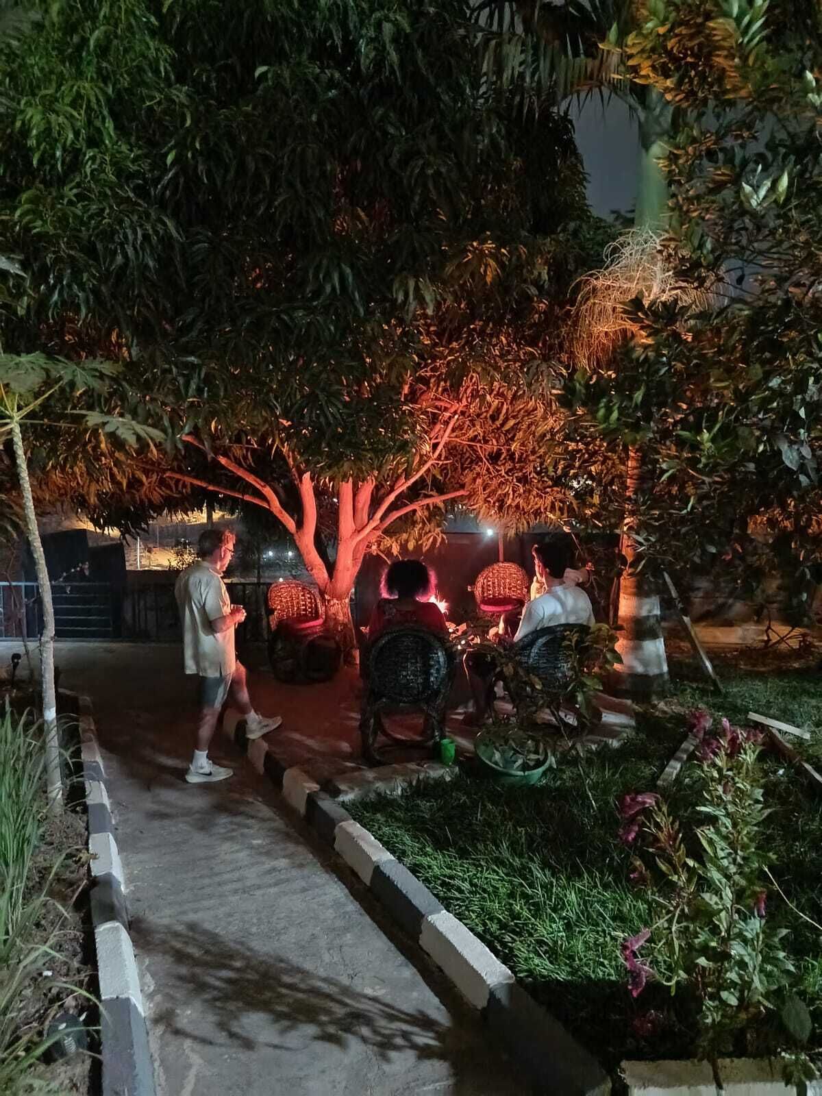 A pathway leading to a shaded area with seating arrangements and a tree with illuminated branches.