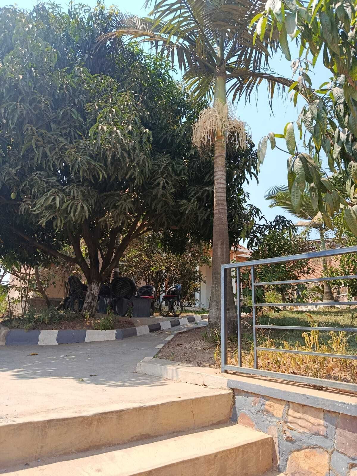 A paved area with steps leading up to a metal railing, surrounded by trees and a clear sky.