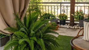 Un patio con una planta de helecho grande, una silla de mimbre y vistas a un paisaje montañoso.