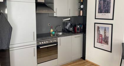 Cozy apartment close city center