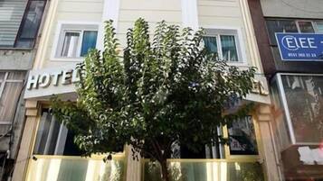 تفاصيل الفندق من الخارج