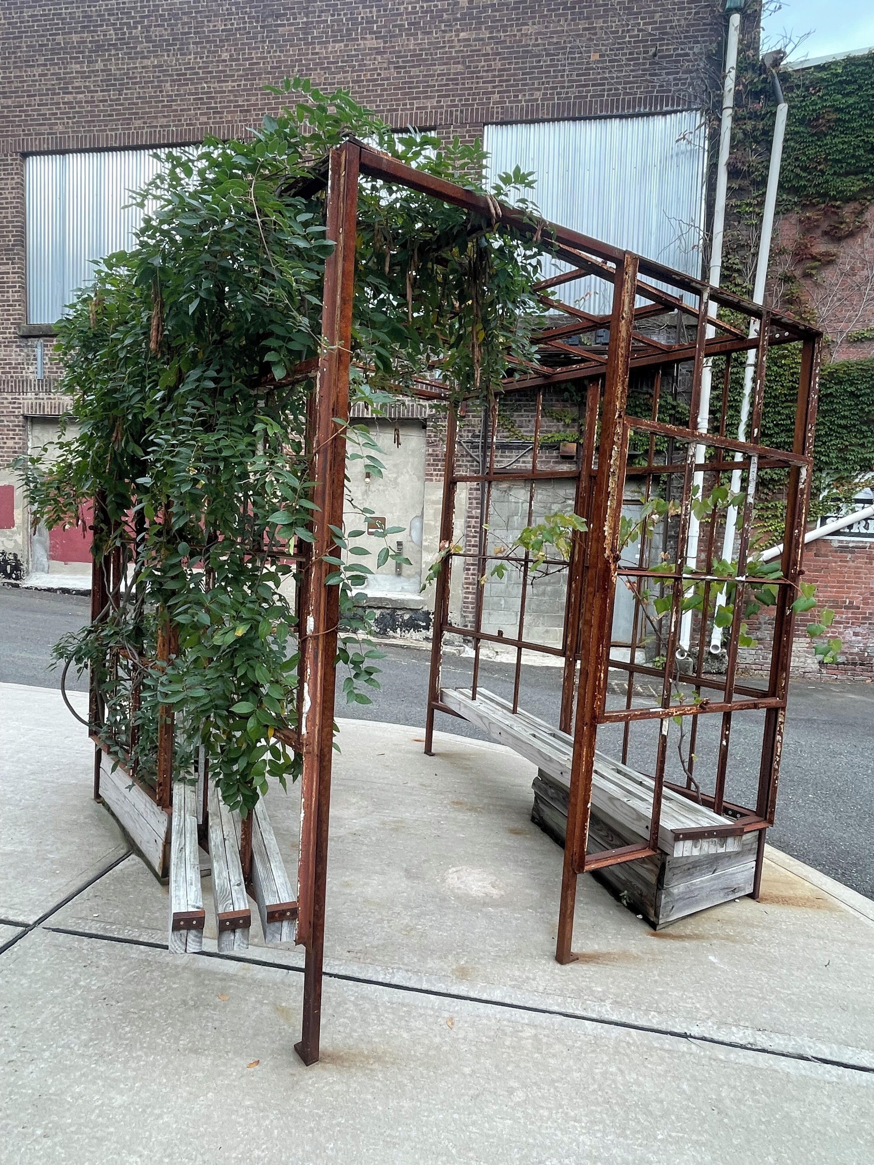 Une structure métallique recouverte de plantes grimpantes, un sol en béton et un bâtiment en briques en arrière-plan.