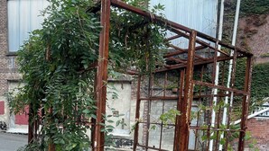 A metal structure with climbing plants, a concrete floor, and a brick building in the background. - Superb Mid Hudson Valley Newburgh for relaxing stays North of U S ARMY WEST PT. (Newburgh)