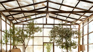 Un espacio tipo invernadero con una mesa, sillas y plantas en macetas.