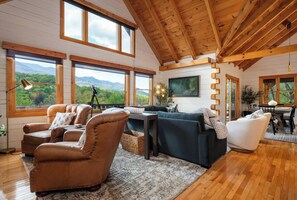 Smart TV, fireplace, books, stereo