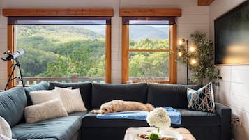 TV connectée, cheminée, livres, chaîne hi-fi
