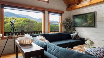 Smart TV, fireplace, books, stereo