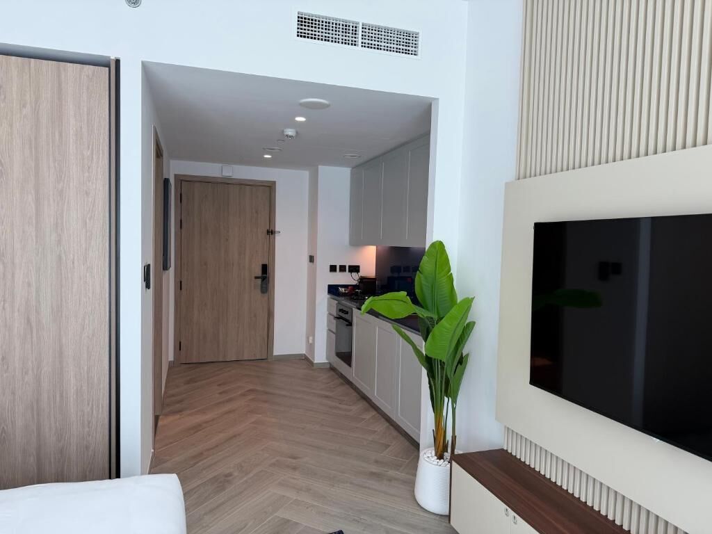A modern interior with a wooden floor, a white wall-mounted TV, and a potted plant.