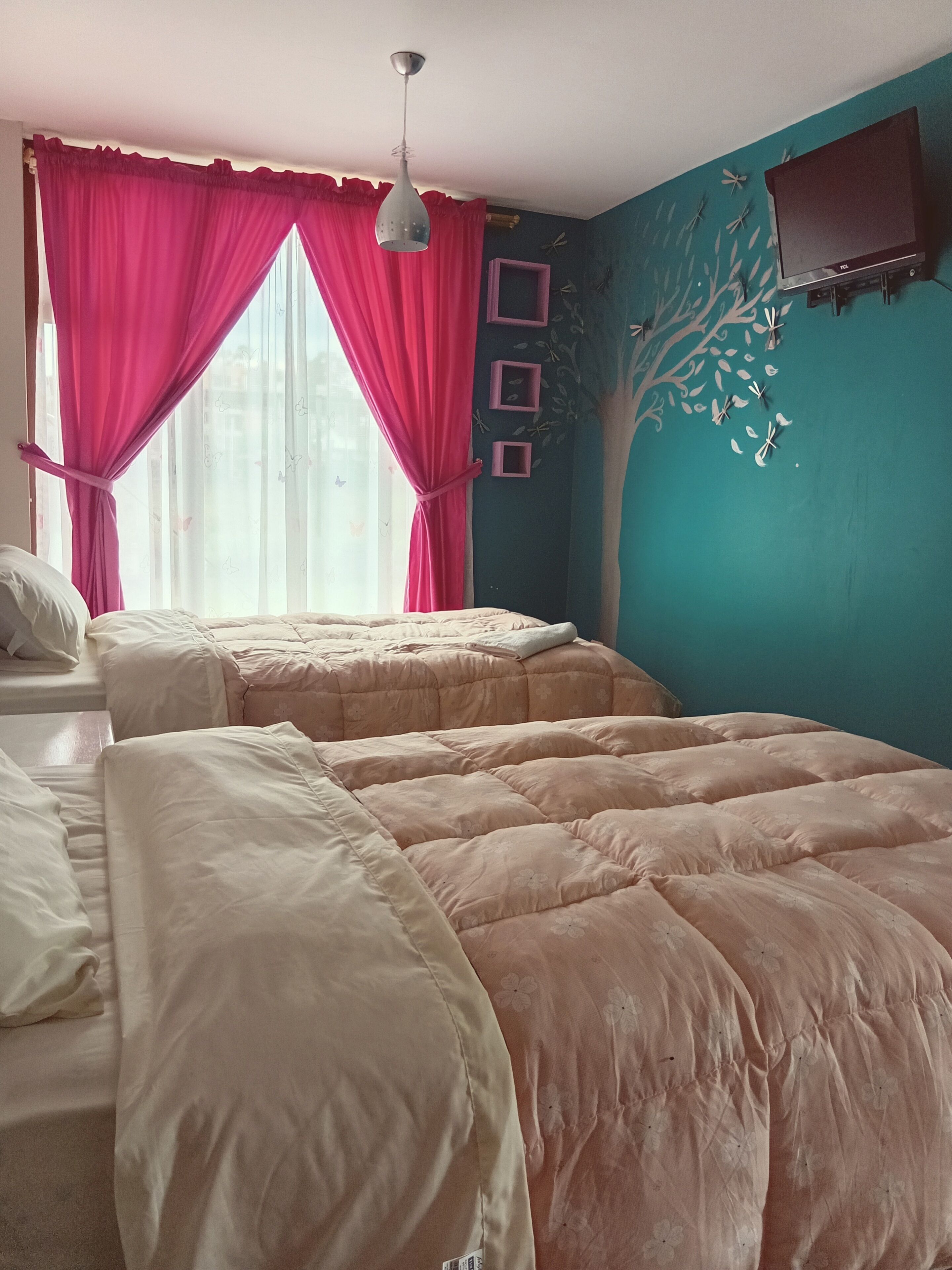 5 habitaciones, wifi gratis, ropa de cama y acceso para silla de ruedas 