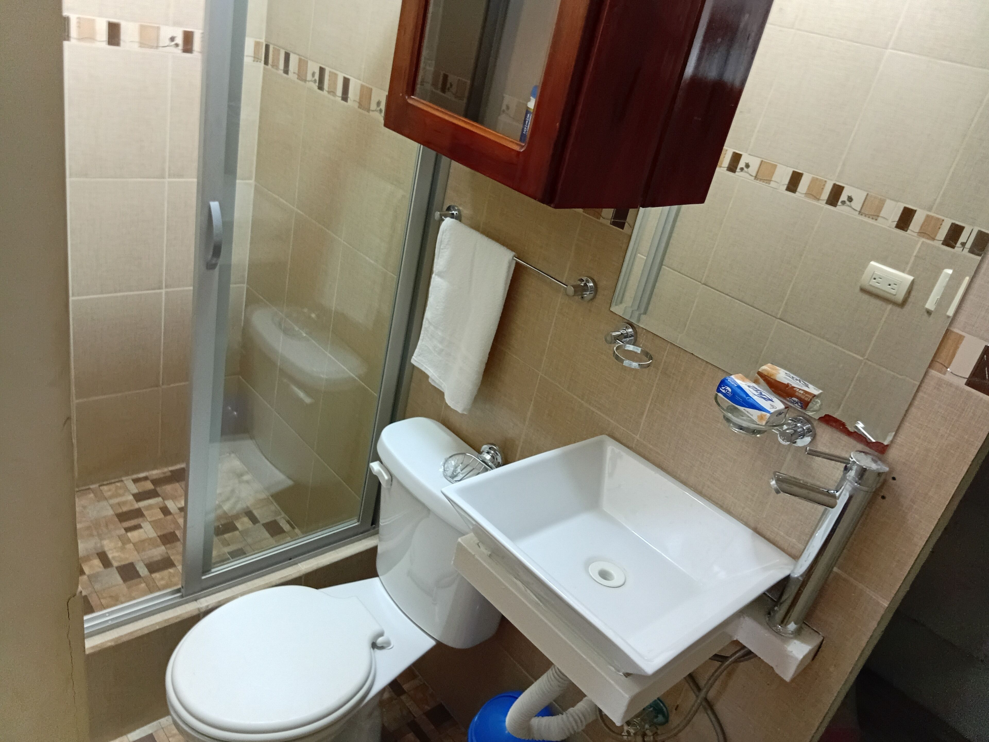 Un baño con inodoro, lavamanos y ducha.