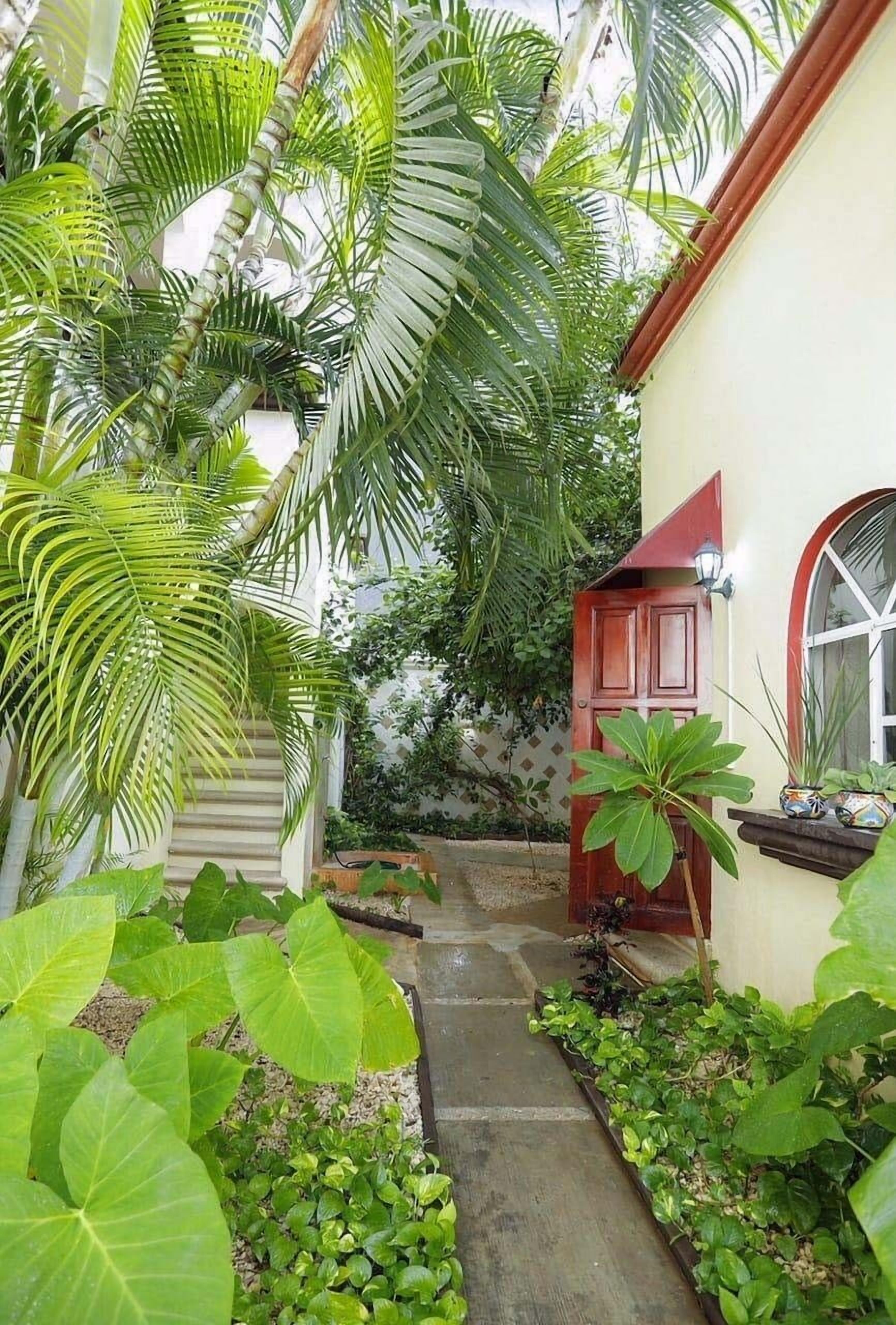 A narrow pathway flanked by lush tropical plants leading to a wooden door.