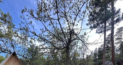 Private Woodland Glamping in the Black Hills