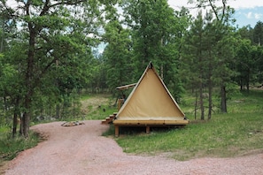 A tent-like structure in a forested area with a gravel path leading to it.