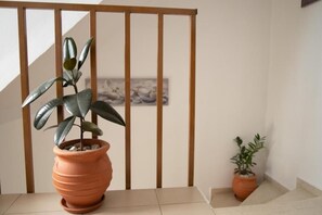 Eine Treppe mit einem Blumentopf links und einem kleineren Topf rechts.