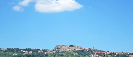 A historic town with a prominent hilltop castle, surrounded by lush greenery and residential buildings.