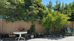 A patio area with a round table and chairs, surrounded by potted plants and a wooden fence.