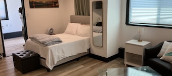 Schönes Studio in Maxwell Park / 1 Schlafzimmer / Großer Garten