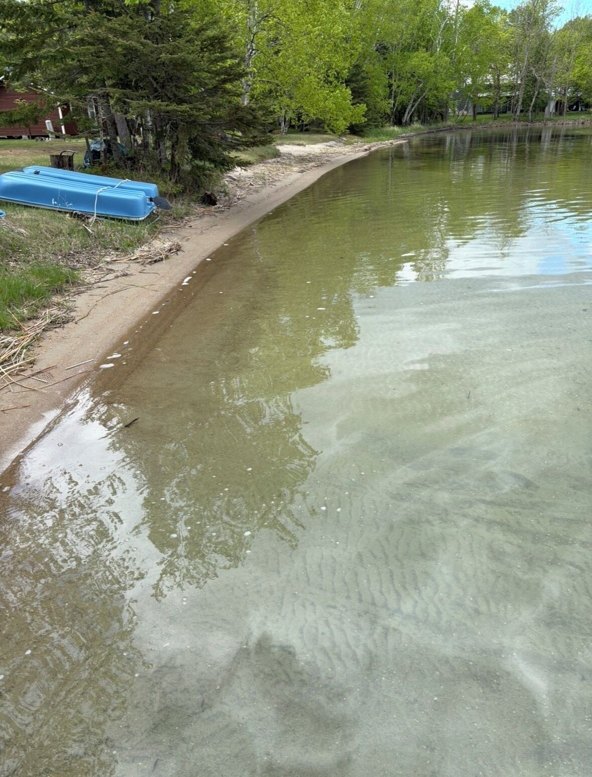 Une rive avec un cours d’eau limpide, des arbres et un objet bleu sur le bord.