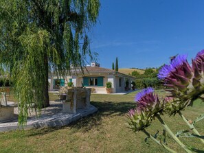 A house with a tiled roof, a garden with a tree, and a purple flower in the foreground. - La Sorgente by Interhome (Saturnia)