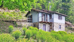 Esterni