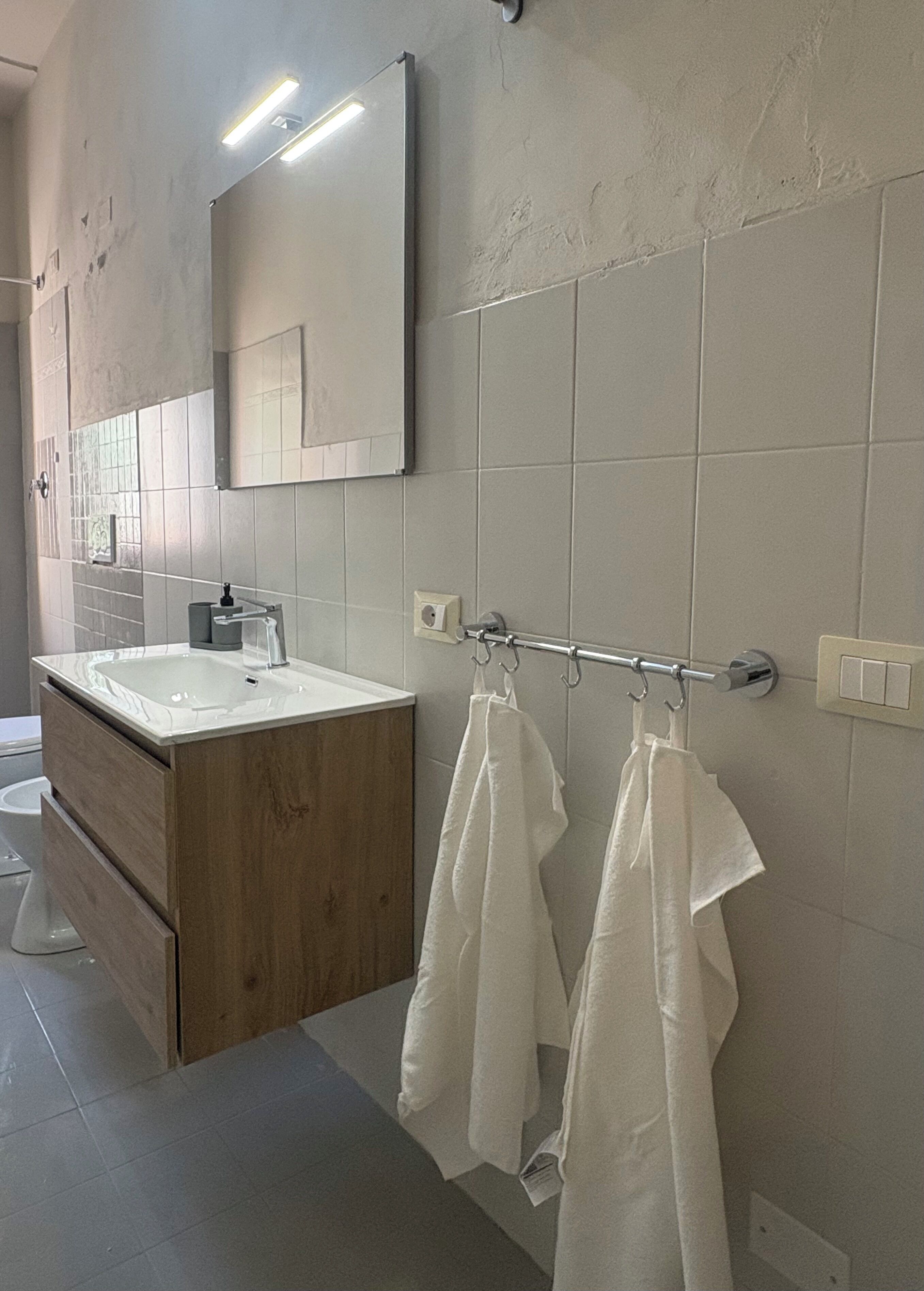 Shower, hair dryer, bidet, towels