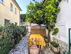 Unclassified image, 2 of 16, button - Apartment Limone by Interhome (Castiglione della Pescaia)