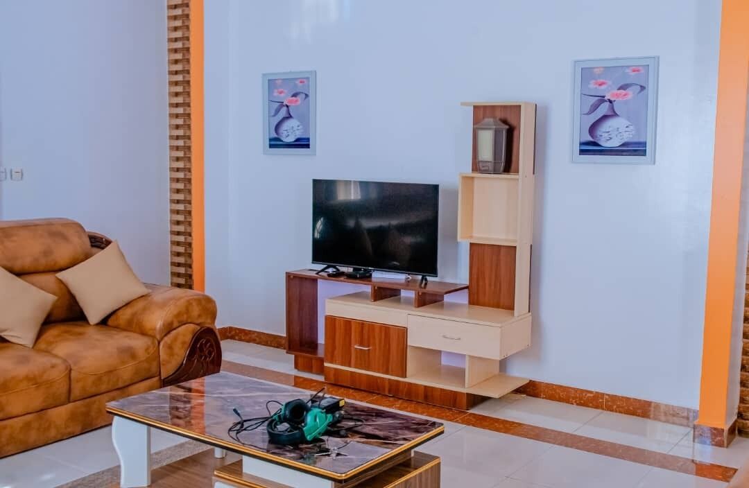 TV
