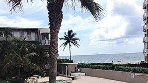 Ein Swimmingpool mit einer Palmenblüte im Vordergrund, ein Gebäude mit Balkonen und Blick auf den Ozean.