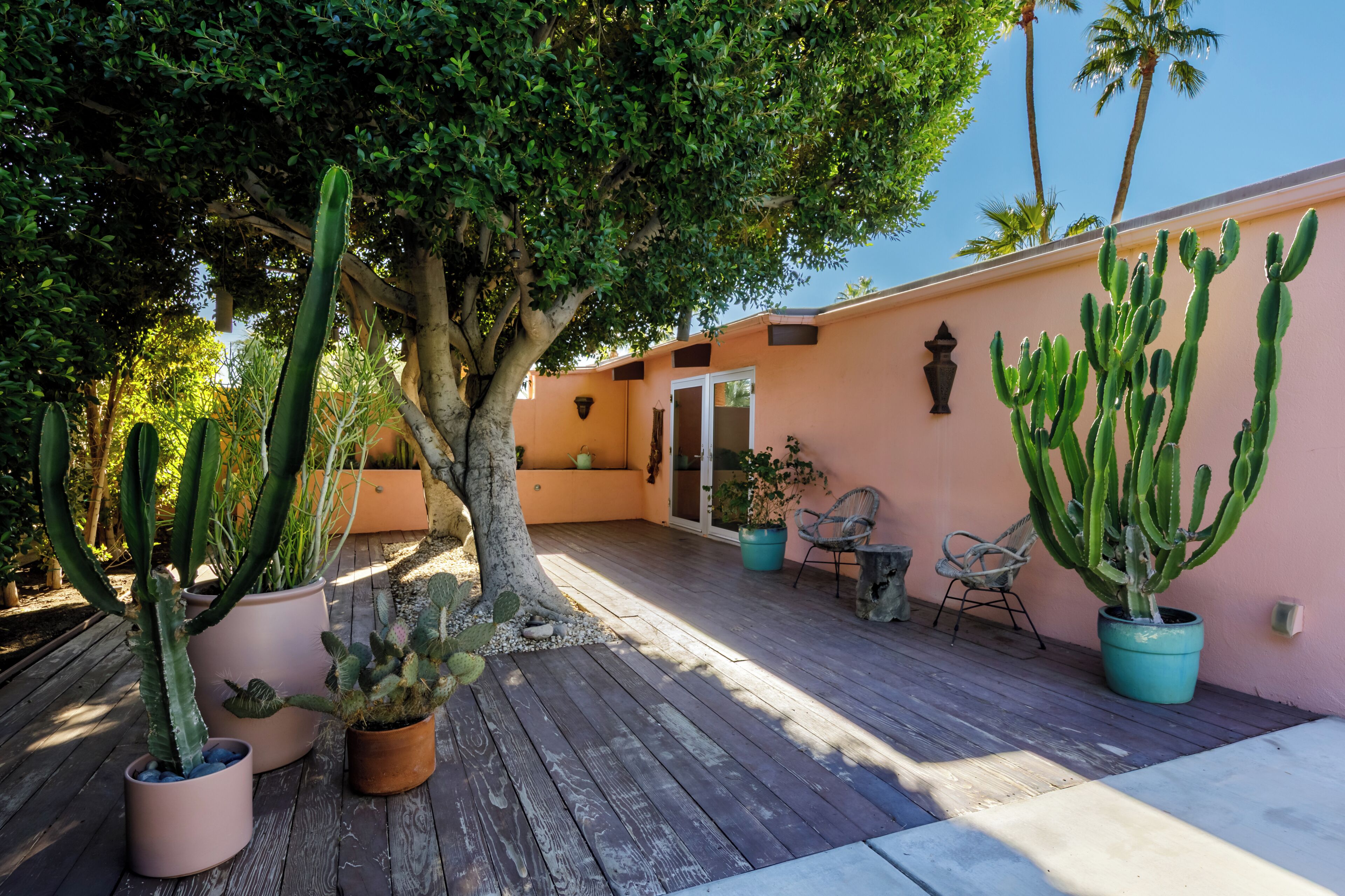 A wooden deck with potted cacti and a tree, a door, and a wall-mounted planter.