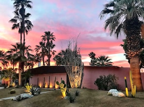 A desert garden with palm trees, cacti, and a wall. - The Retreat, Private MidCentury home in sunny Palm Springs (Palm Springs)