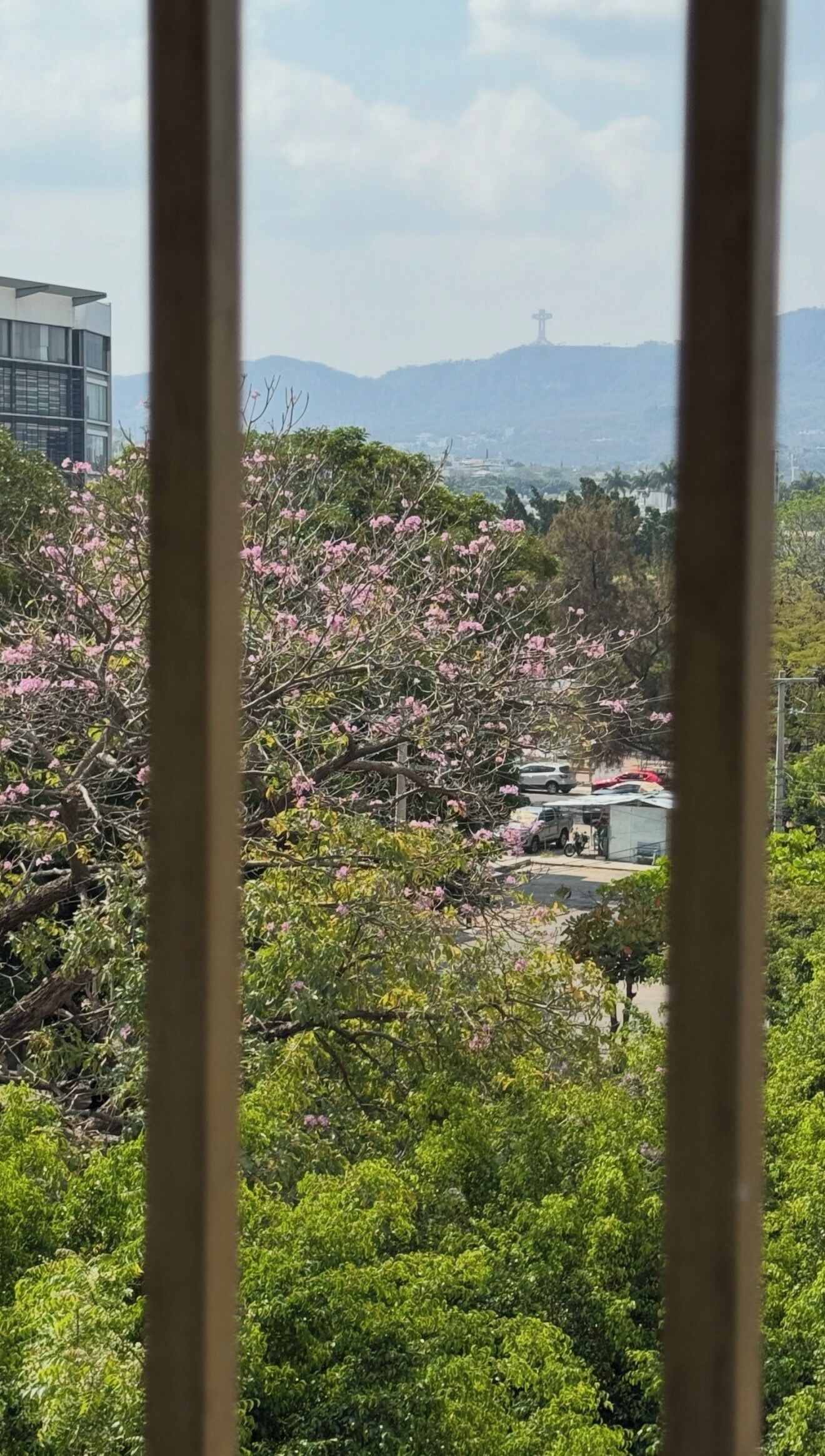 Vista de un edificio con una cruz en la parte superior, rodeado de árboles en flor de color rosa y vegetación.