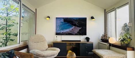 TV