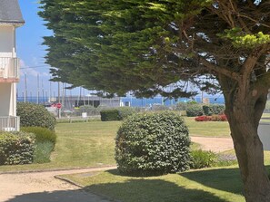 A residential area with a large tree, a stop sign, and a view of the sea. - QUIBERON - 2 rooms - 55m2 - Sea view (QUIBERON)