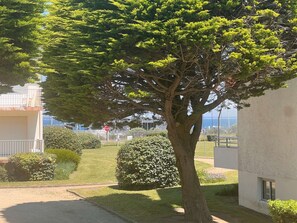 Ein von Bäumen gesäumtes Wohngebiet mit einem Stoppschild, einem Gebäude mit weißer Fassade und freiem Blick auf das Meer im Hintergrund.