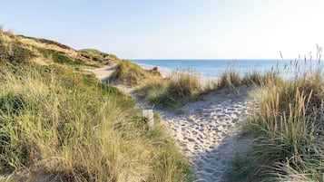 Ligstoelen aan het strand