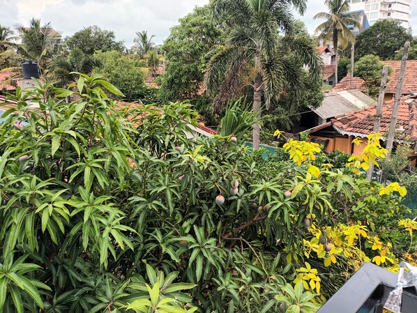 A lush garden with various plants and trees, a water tank, and a building with a red-tiled roof in the background.