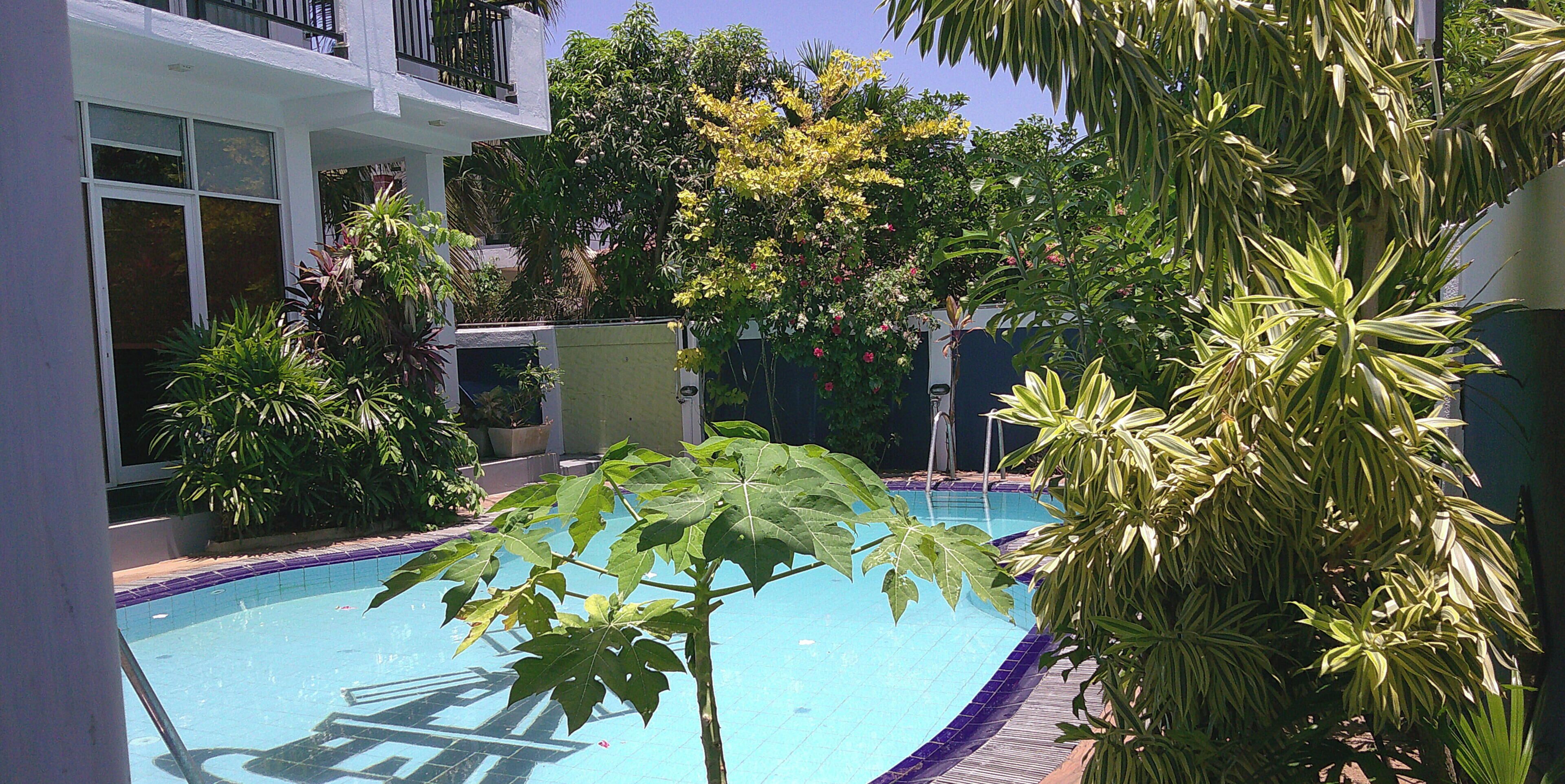 Piscine extérieure