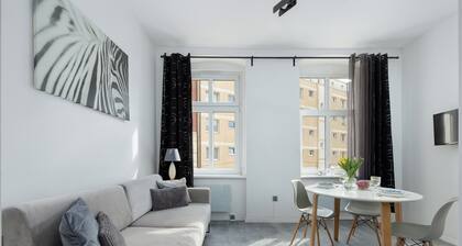 Emilii Plater Cozy Studio