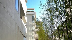 Een modern gebouw met een strak, minimalistisch ontwerp, voorzien van een smal pad en een bamboentuin.