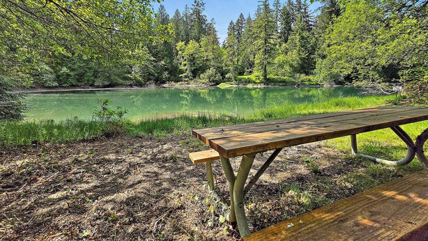 Una mesa de picnic en un área boscosa con un lago.